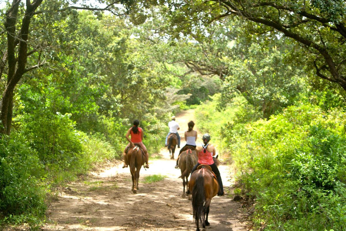 Vida Aventura Ranch Hotel Tanques Exterior foto